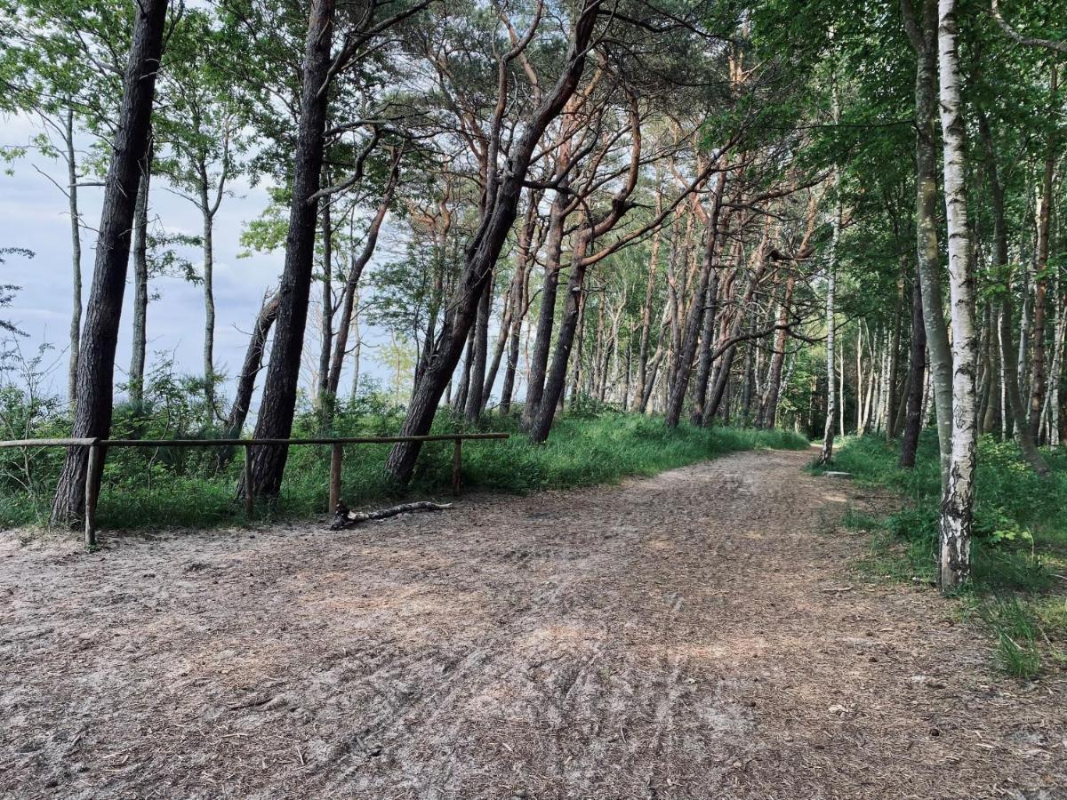 Apartamenty W Radawce Radawka Exteriér fotografie